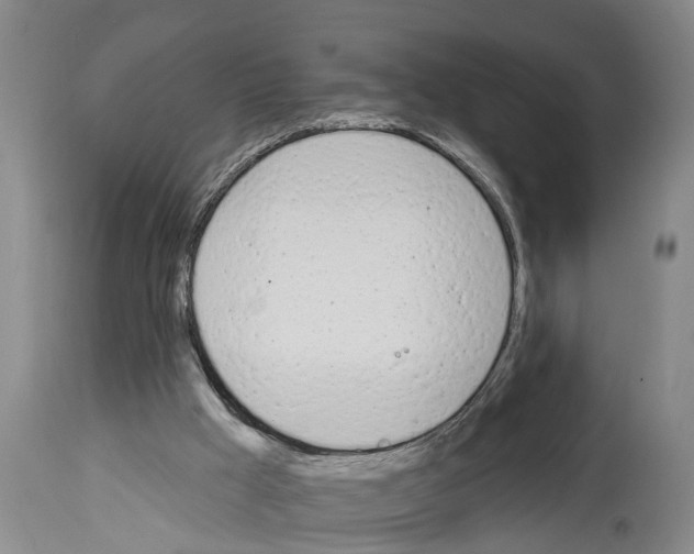 X0000114000009200911131151