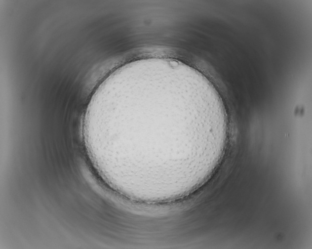 X0000114000014200911131151