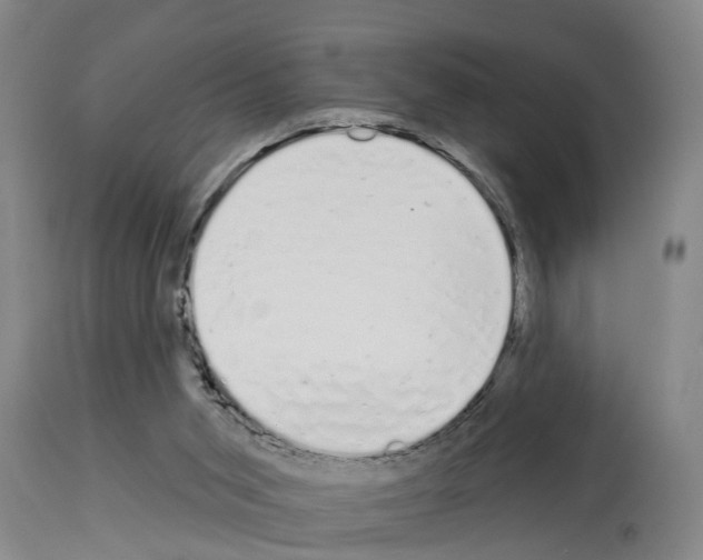 X0000114000015200911131151