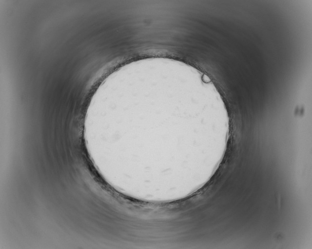 X0000114000016200911131151
