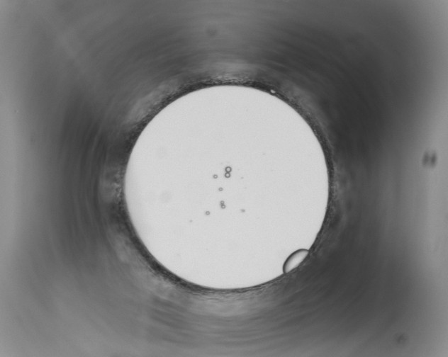 X0000114000017200911131151