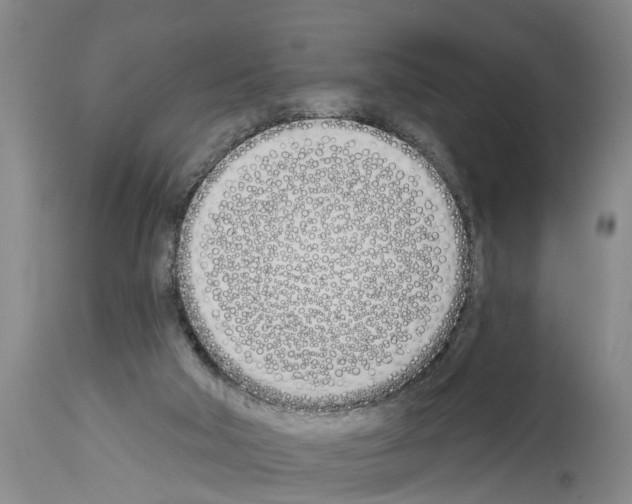X0000114000018200911131151