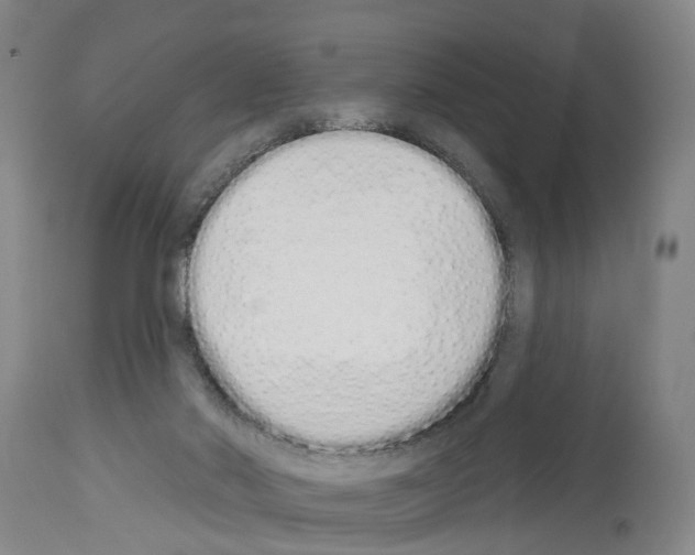X0000114000022200911131151