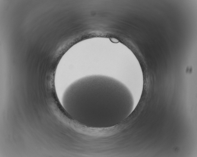 X0000114000023200911131151