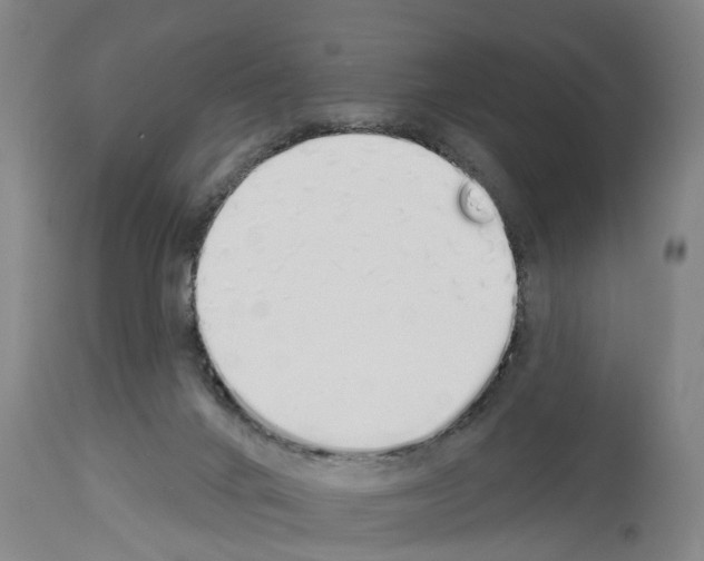 X0000114000024200911131151