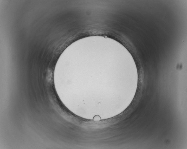 X0000114000025200911131151