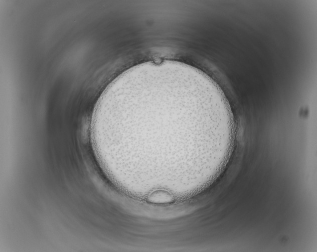 X0000114000026200911131151