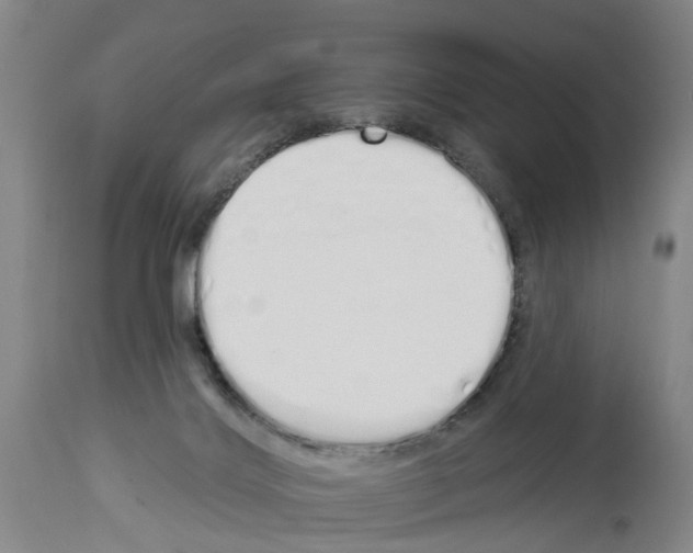 X0000114000028200911131151
