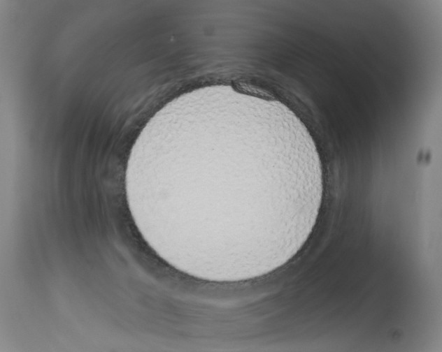 X0000114000029200911131151
