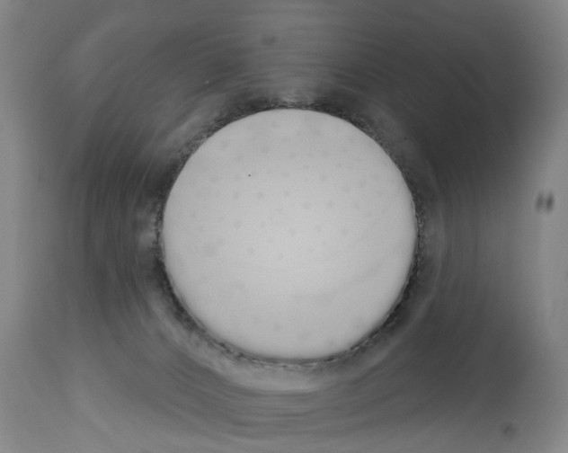 X0000114000032200911131151