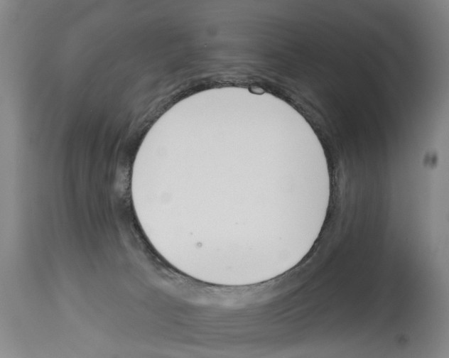 X0000114000033200911131151