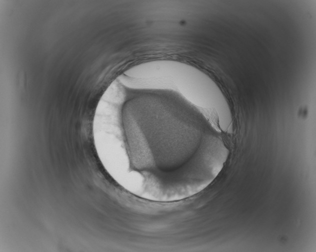 X0000114000035200911131151