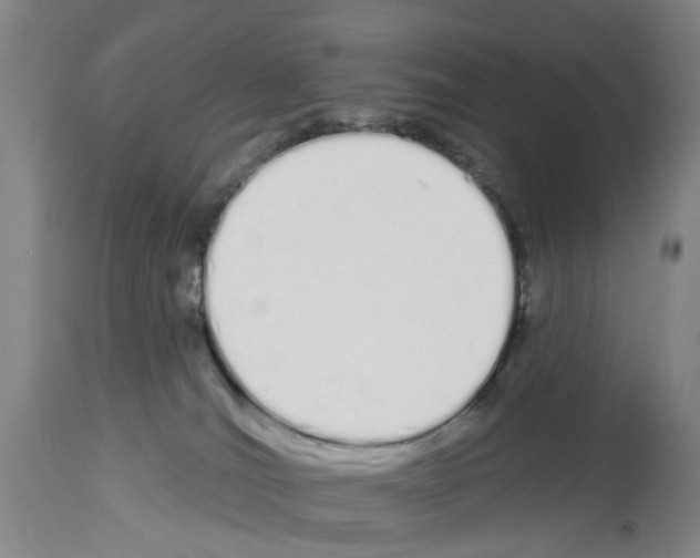 X0000114000036200911131151