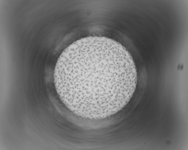 X0000114000038200911131150