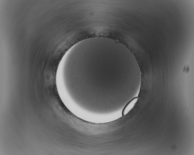 X0000114000039200911131150