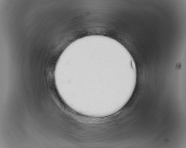 X0000114000040200911131150