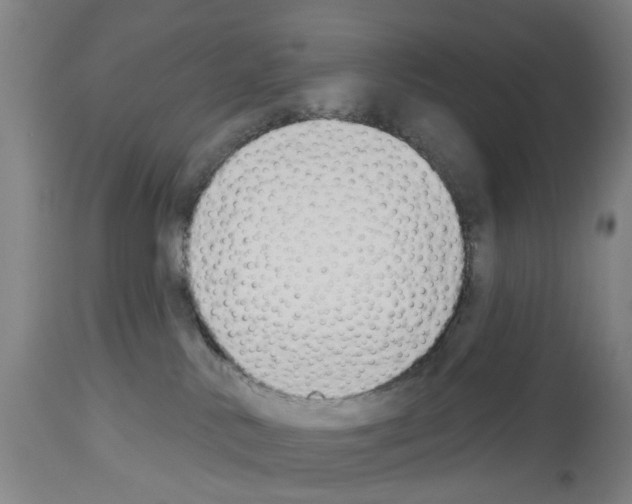 X0000114000042200911131150