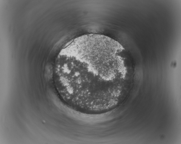 X0000114000043200911131150