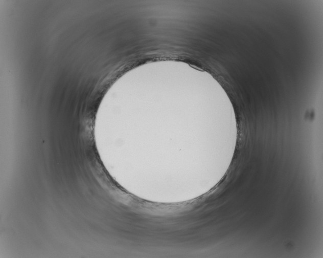 X0000114000045200911131150