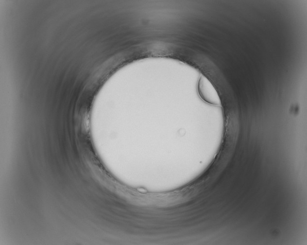 X0000114000046200911131150