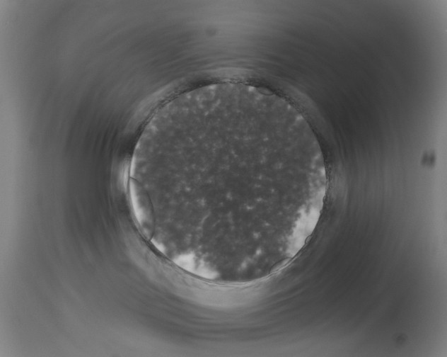 X0000114000047200911131150