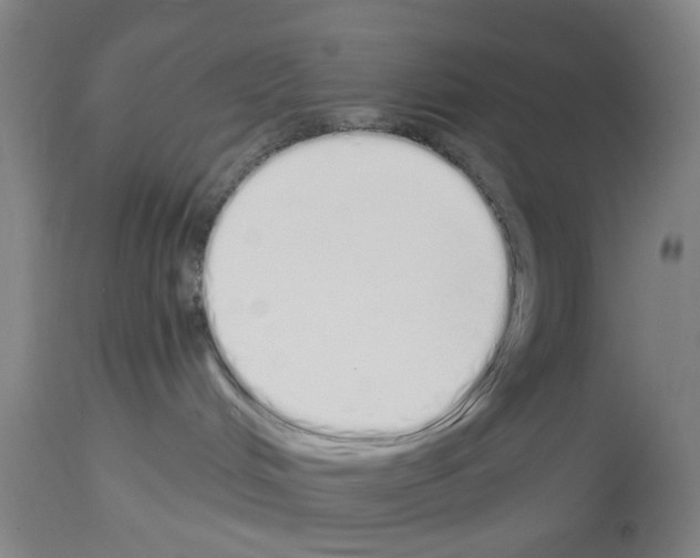 X0000114000048200911131150