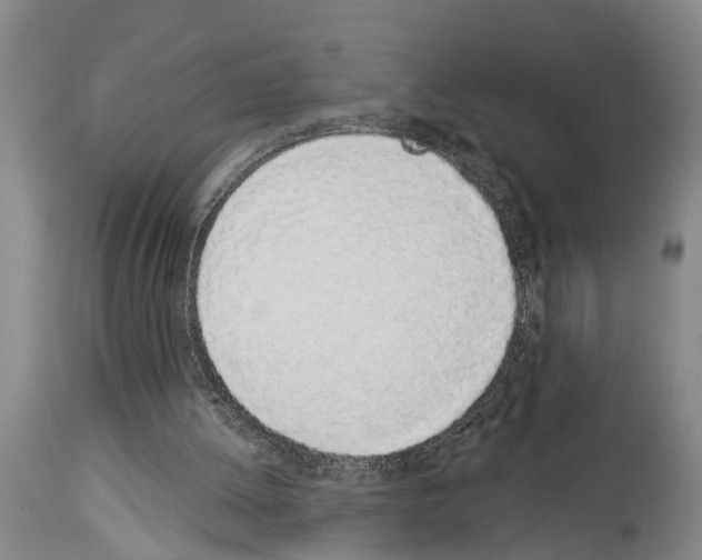X0000114000052200911131150
