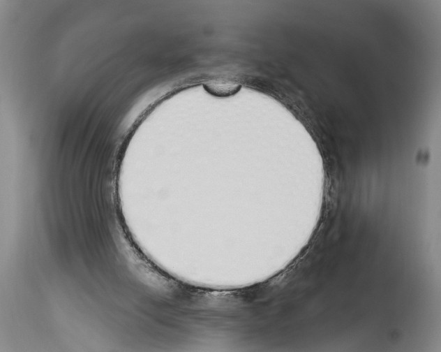 X0000114000054200911131150