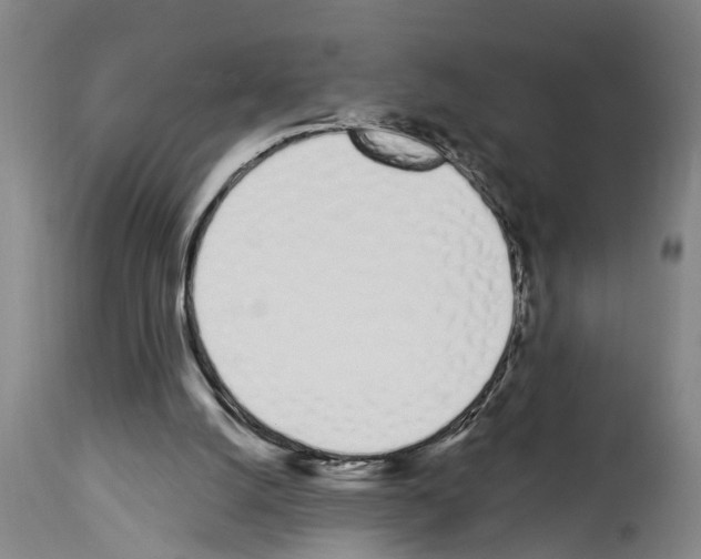 X0000114000056200911131150