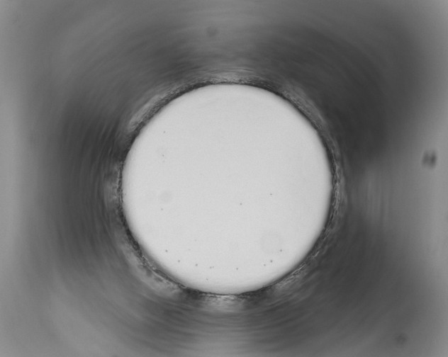 X0000114000058200911131150