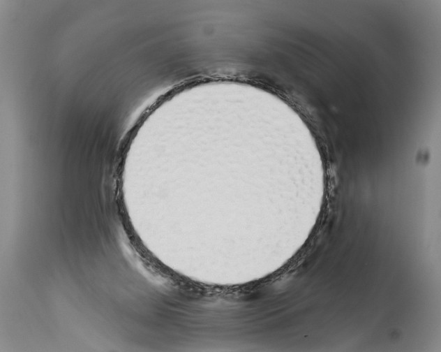 X0000114000060200911131150