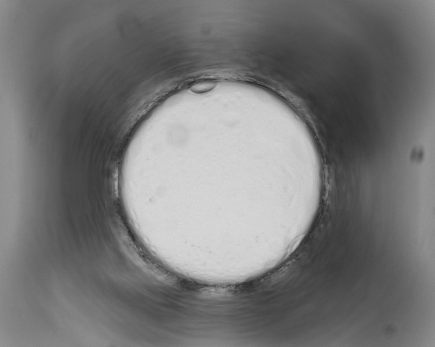 X0000114000061200911131150