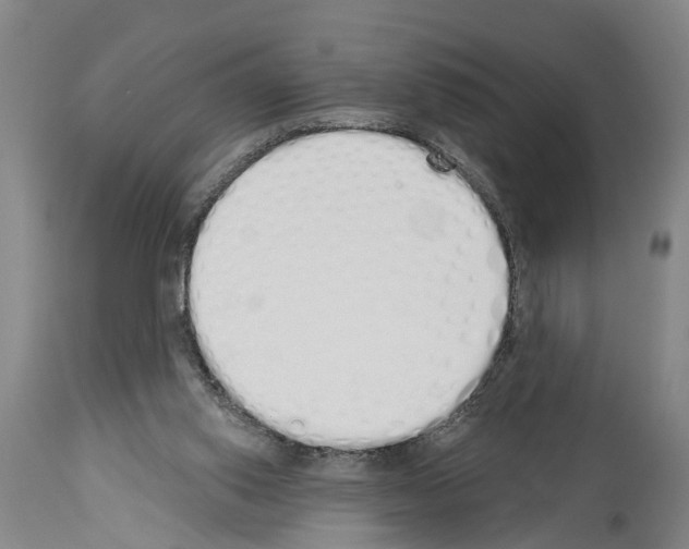 X0000114000062200911131150