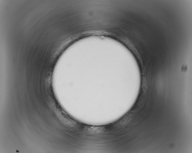 X0000114000063200911131150
