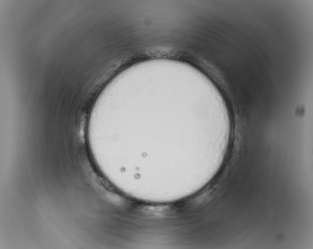 X0000114000065200911131150
