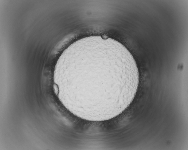 X0000114000068200911131150
