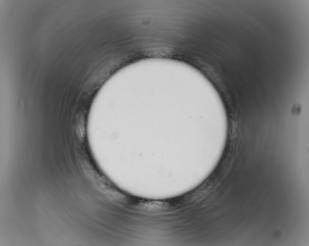X0000114000069200911131150