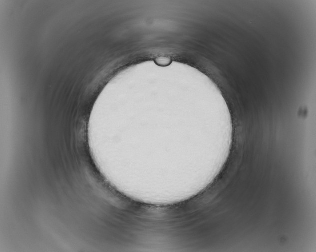 X0000114000071200911131150