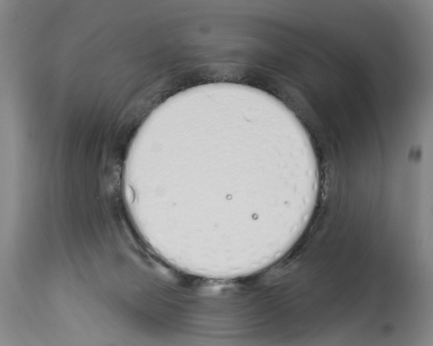 X0000114000077200911131150