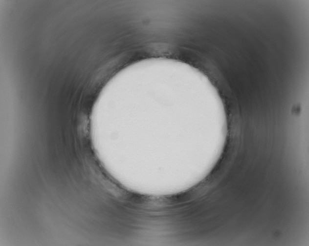 X0000114000089200911131150