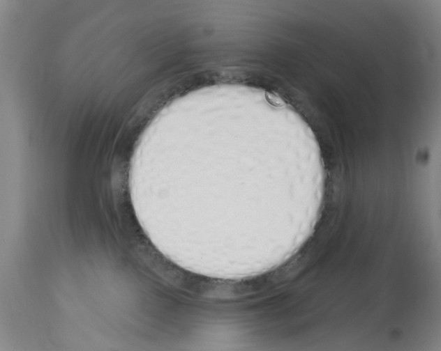 X0000114000090200911131150