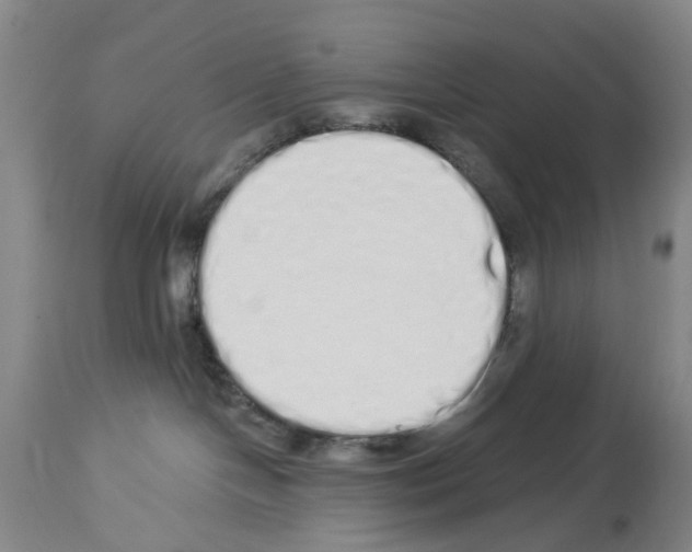 X0000114000094200911131150