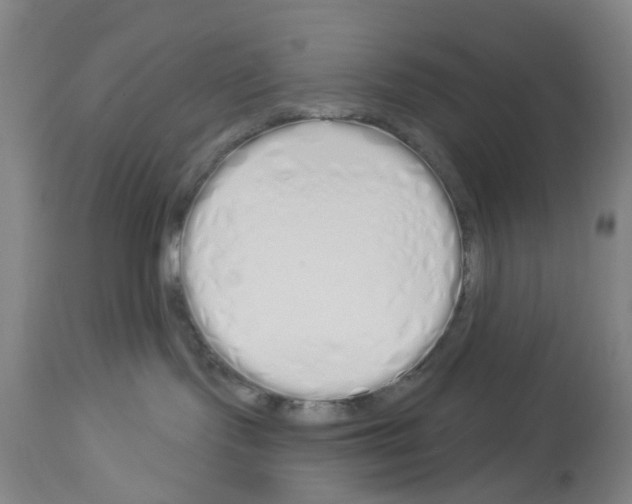 X0000114000095200911131150