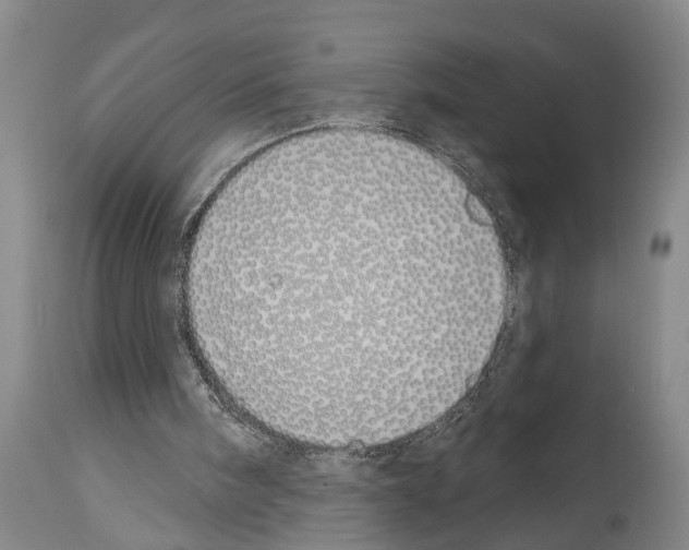 X0000114000098200911131150