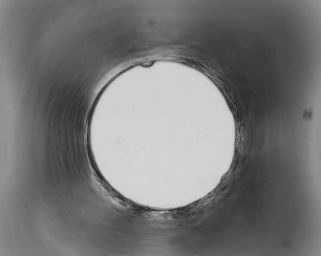 X0000114000100200911131150