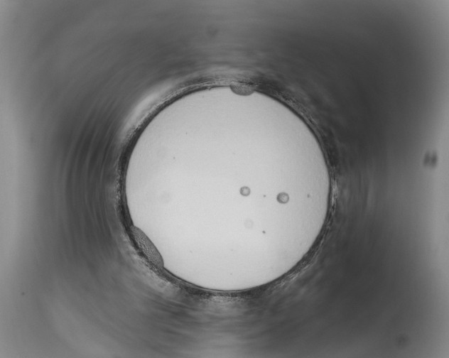 X0000114000101200911131150