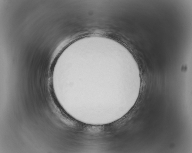 X0000114000102200911131150