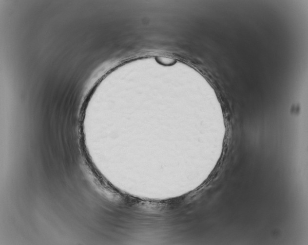 X0000114000104200911131150