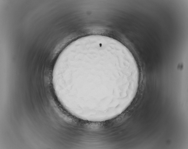 X0000114000106200911131150