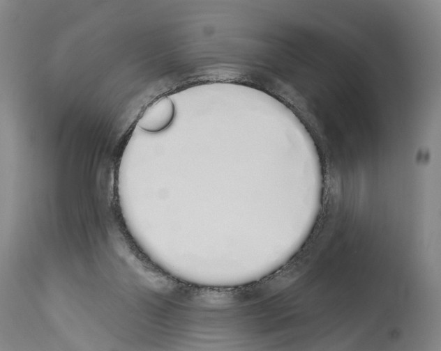 X0000114000110200911131149